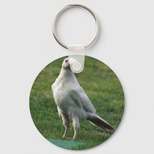 Porte-clés Cadeaux Rare White Raven (Recto)