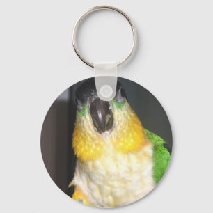 Porte-clés Caique