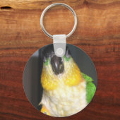 Porte-clés Caique (Recto)