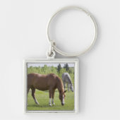 Porte-clés Calgary, Alberta, Canada 2 (Devant)