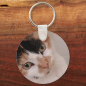 Porte-clés Calico Beauty Chat (Recto)