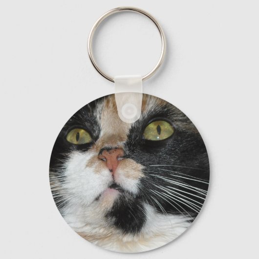Porte-clés Calico Cat (Recto)
