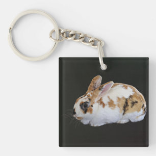 Porte-clés Calico Rabbit