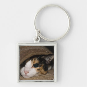 Porte-clés Calico Taco