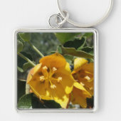 Porte-clés California Flannel Bush (Devant)