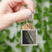 Porte-clés Californie (main)