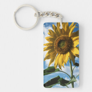 Porte-clés Californie, Un Tournesol Mammouth (Helianthus) 2