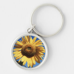 Porte-clés Californie, Un Tournesol Mammouth (Helianthus) 3
