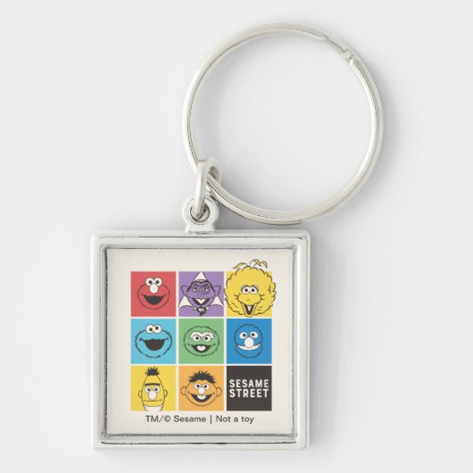 Porte-clés Camarades de la rue Sésame | Blocs de couleur (Devant)