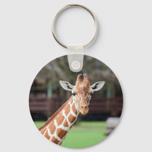 Porte-clés Camelopard (girafe)