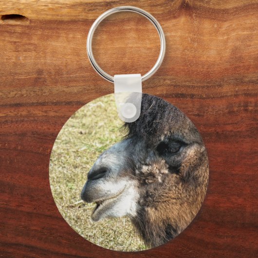 PORTE-CLÉS CAMELS (Recto)