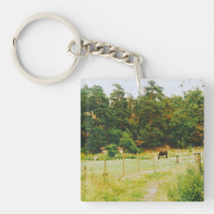 Porte-clés Campagne suédoise