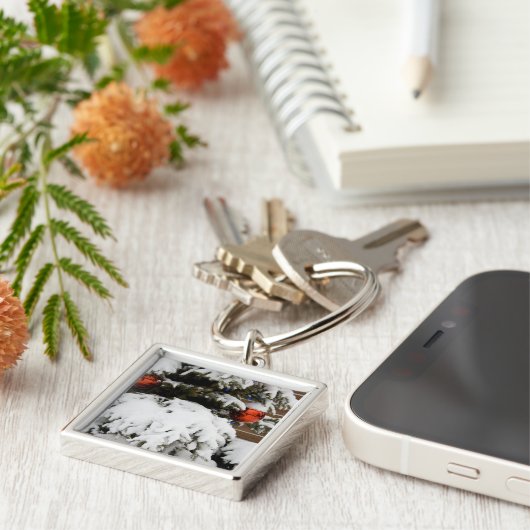 Porte-clés Canada, Alberta, Jasper, Jasper NP. Fairmont 2 (Côté)