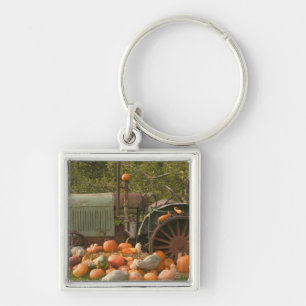 Porte-clés CANADA, Colombie-Britannique, Keremeos. Automne /