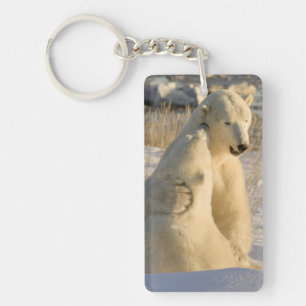 Porte-clés Canada, Manitoba, baie d'Hudson, Churchill.