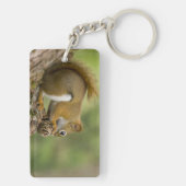 Porte-clés Canada, Nouvelle-Écosse, Halifax. Jardins publics, (Dos)