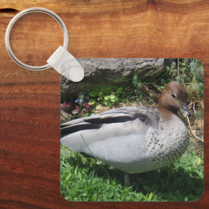 Porte-clés Canard branchu australien dans un jardin tranquill