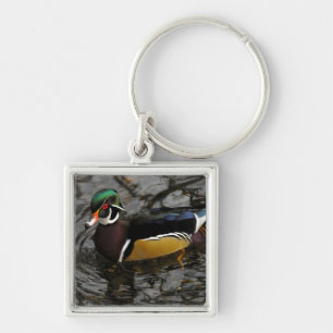 Porte-clés Canard branchu mâle à Crystal Springs Rhododendron