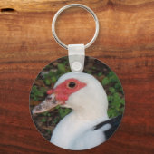 Porte-clés Canard de muscovy noir et blanc Hen (Recto)