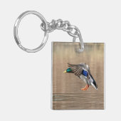 Porte-clés Canard Mallard en vol (Devant gauche)