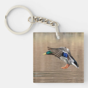Porte-clés Canard Mallard en vol