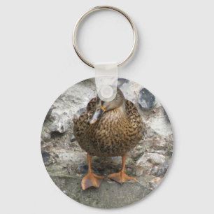 Porte-clés Canard sur un Porte - clé du mur