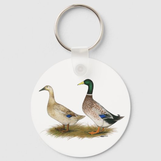 Porte-clés Canards : Argent Welsh Harlequin (Recto)