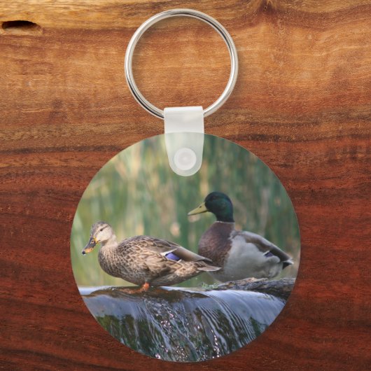 Porte-clés canards aux chutes (Recto)