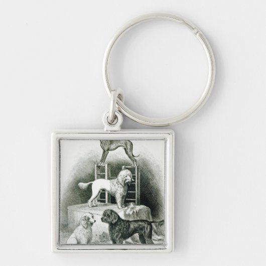 Porte-clés Caniches et whippet - groupe de M. Walton's (Devant)