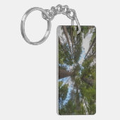 Porte-clés canopée de sapin de Douglas (Devant gauche)