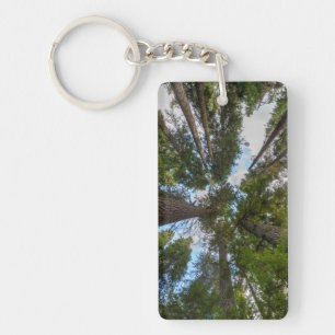 Porte-clés canopée de sapin de Douglas