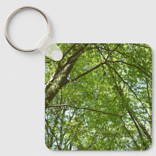 Porte-clés Canopée du printemps Feuille Green Nature Scene (Recto)