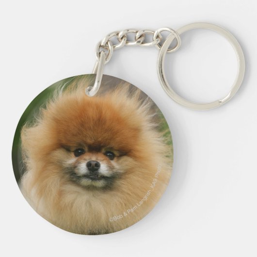 Porte-clés Capture d'écran de la caméra de Poméranie (Dos)