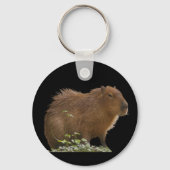 Porte-clés Capybara (Recto)