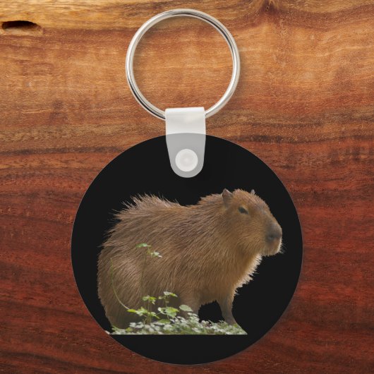 Porte-clés Capybara (Recto)