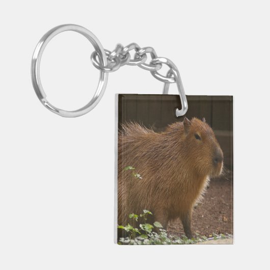 Porte-clés Capybara (Devant gauche)