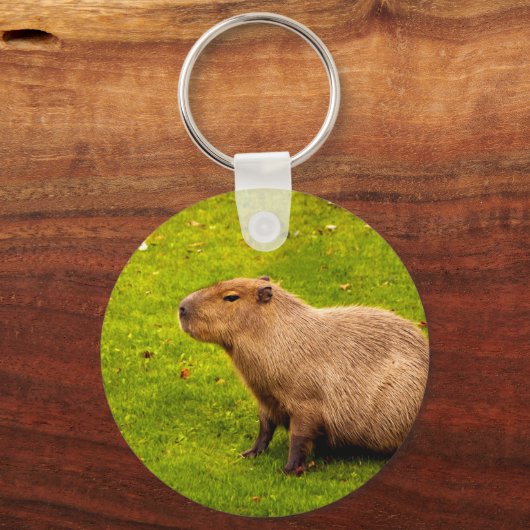 Porte-clés Capybara (Recto)