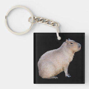 Porte-clés Capybara