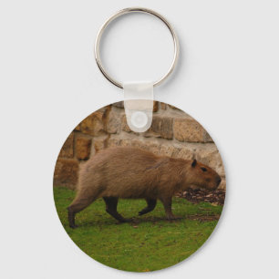 Porte-clés capybara