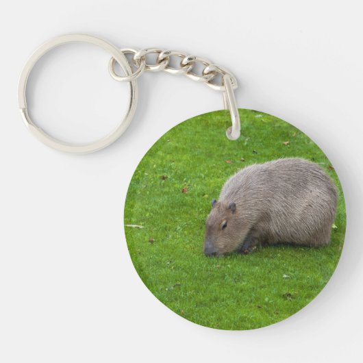 Porte-clés Capybara Animal Incroyable (Devant)