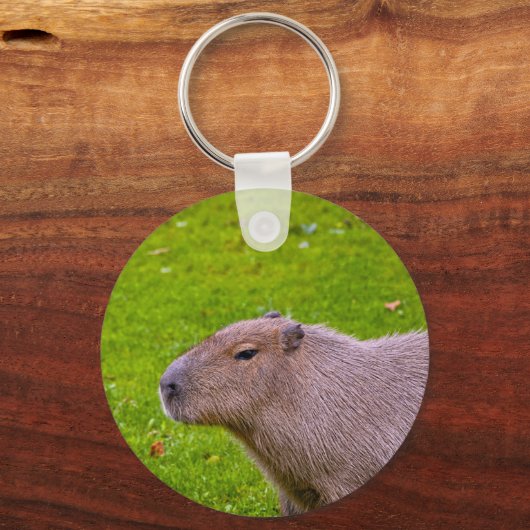 Porte-clés Capybara Extraordinaire (Recto)