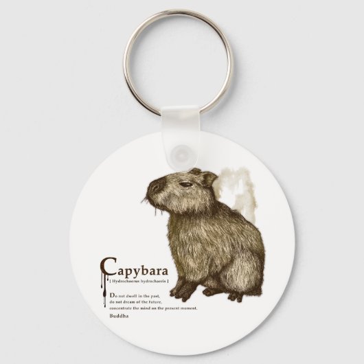 Porte-clés capybara - sépia (Recto)