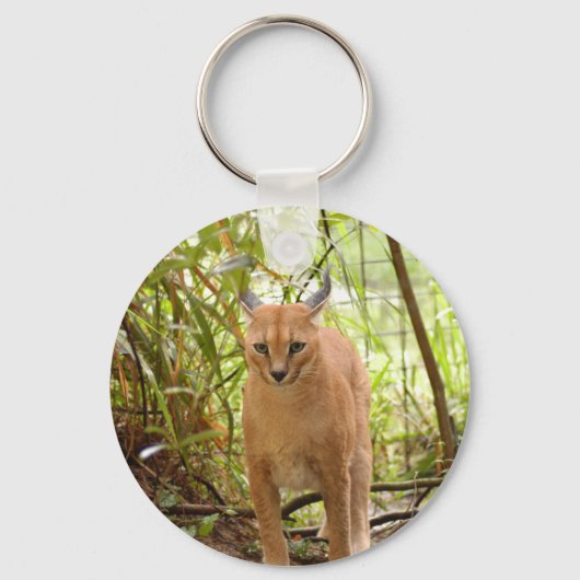 Porte-clés Caracal Lynx Porte - clé (Recto)