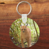 Porte-clés Caracal Lynx Porte - clé (Recto)