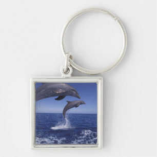 Porte-clés Caraïbes, dauphins à gros nez