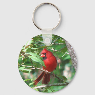Porte-clés Cardinal à Holly