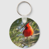 Porte-clés Cardinal des Pins (Recto)