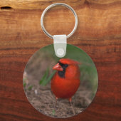 Porte-clés Cardinal du Nord 2 (Recto)