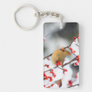 Porte-clés Cardinal du Nord femelle sur Winterberry commun