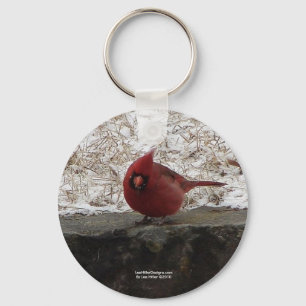 Porte-clés Cardinal Hot Springs Parc Nat Mt AR Cadeaux Vêteme
